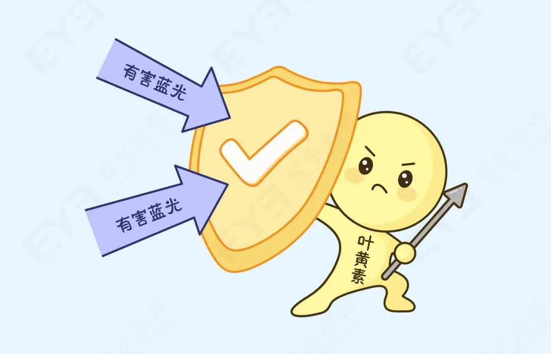 圖片.png 圖片.png