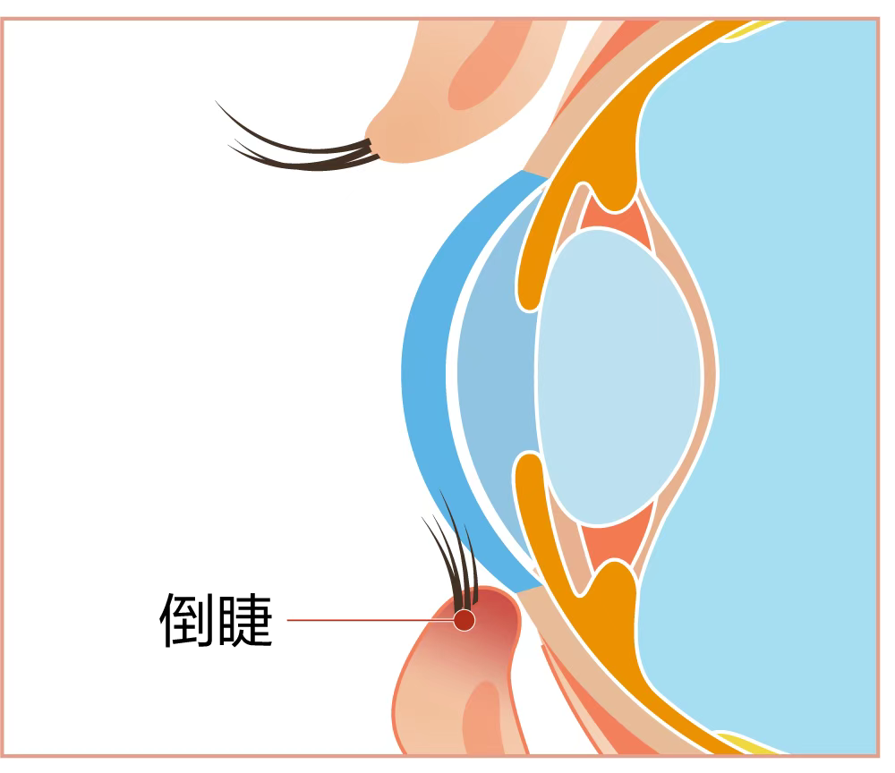 圖片.png 圖片.png