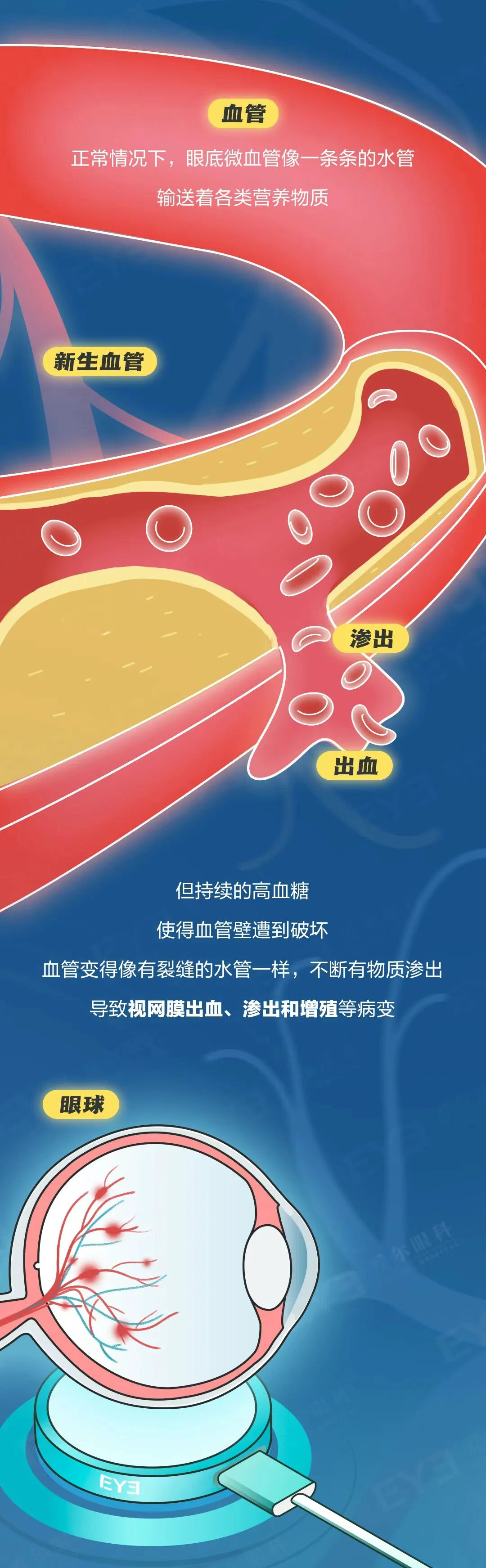 圖片.png 圖片.png